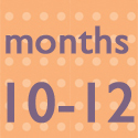 Months 10 to 12