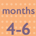 Months 4 to 6
