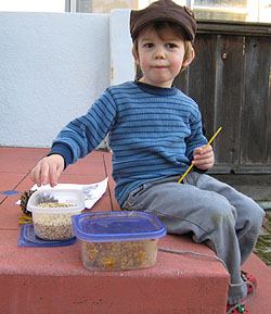 julianbird11.jpg