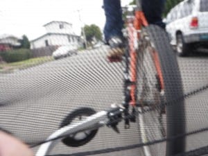 The view from bike trailer Photo by Holden, view from bike trailer