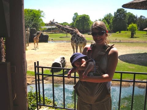 zoobaby1