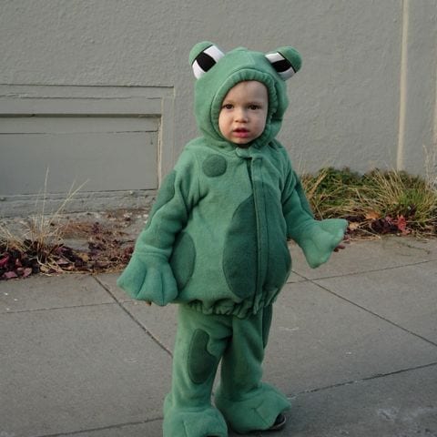2-frog6