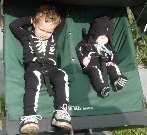 3-skeletons7