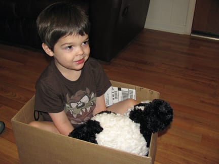 kid stuffed in a box with stuffed animals