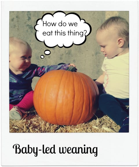 babies with a pumpkin babies with a pumpkin