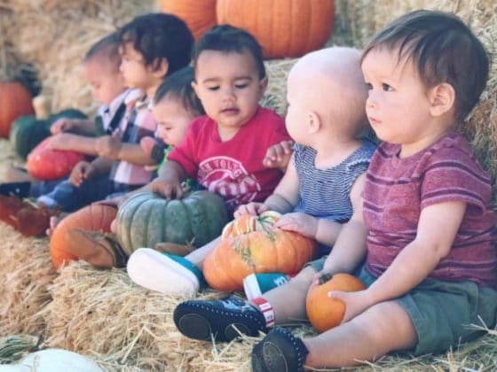 Activity #36: Take a photo of your baby at the pumpkin patch Activity #36: Take a photo of your baby at the pumpkin patch